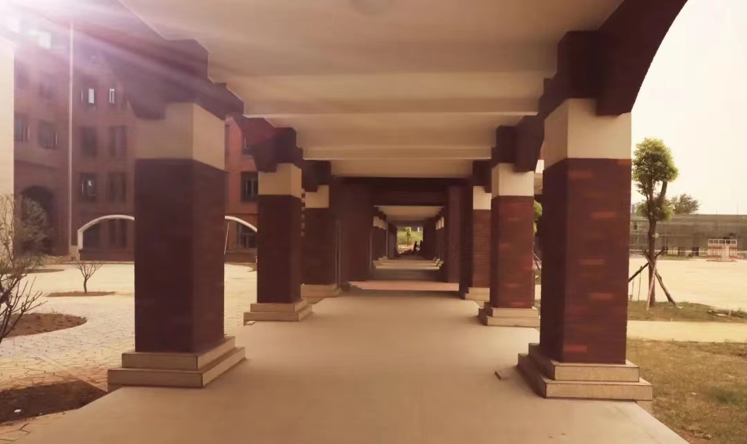 1665135615920879.jpg 1665135615920879.jpg