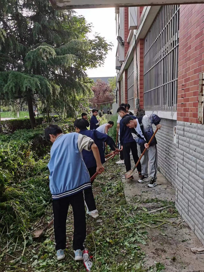 1685411298245757.jpg 1685411298245757.jpg