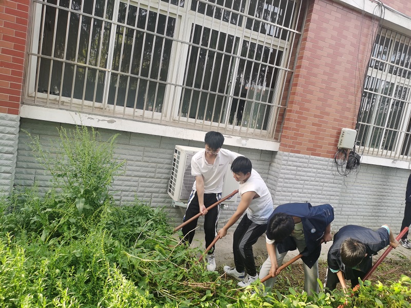 1685411309176251.jpg 2.jpg