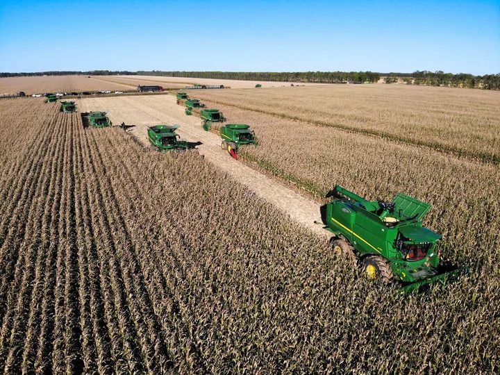 1698735837368309.jpg 11.jpg