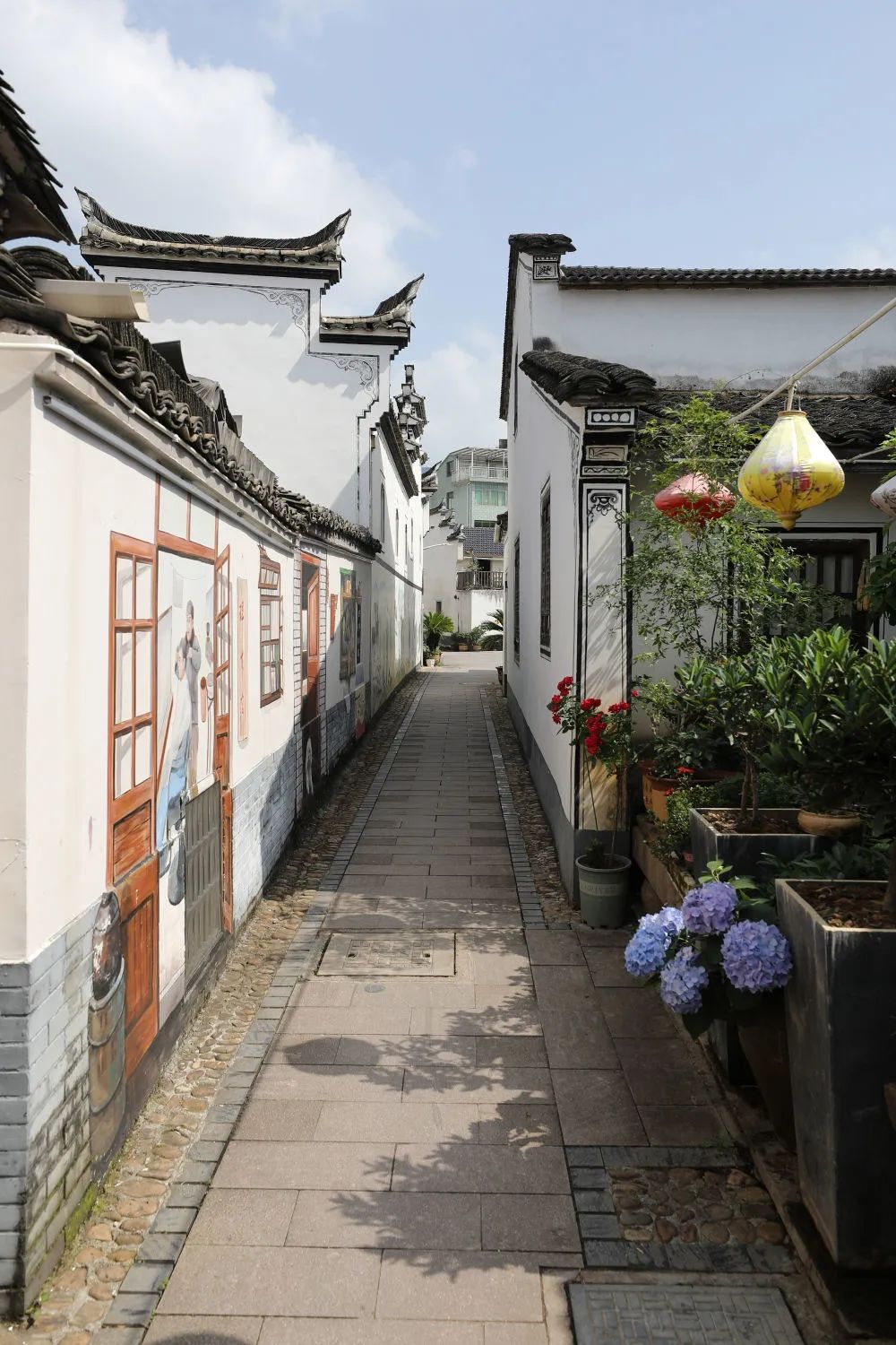 1698736034637665.jpg 1698736034637665.jpg