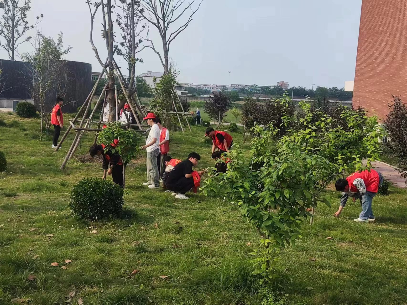 1719537923918806.jpg 1719537923918806.jpg