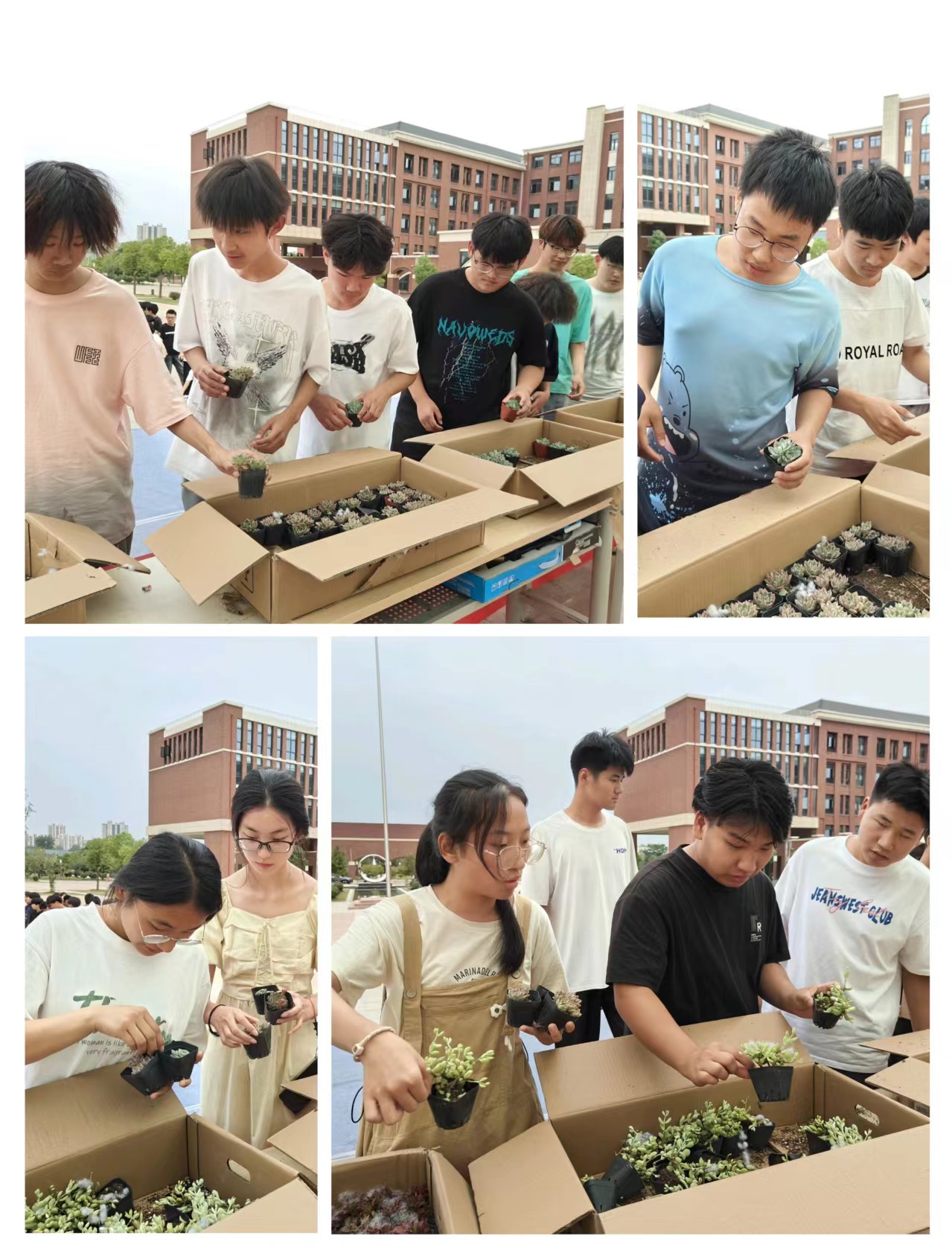 1719539145227837.jpg 1719539145227837.jpg