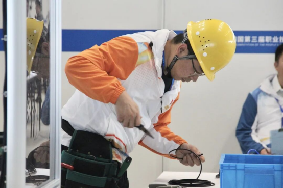 1763017180570.jpg 1763017180570.jpg