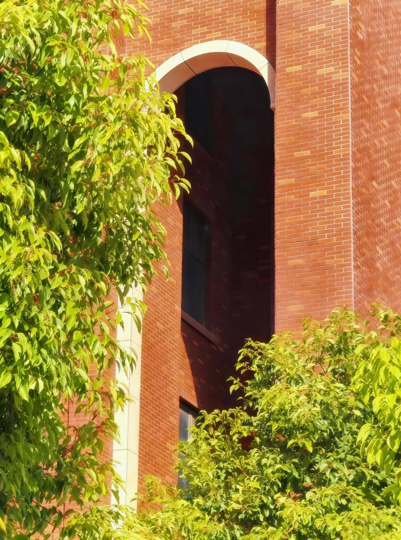 ecca99f4-10ec-4821-9f17-6e11aaf8d57c.png