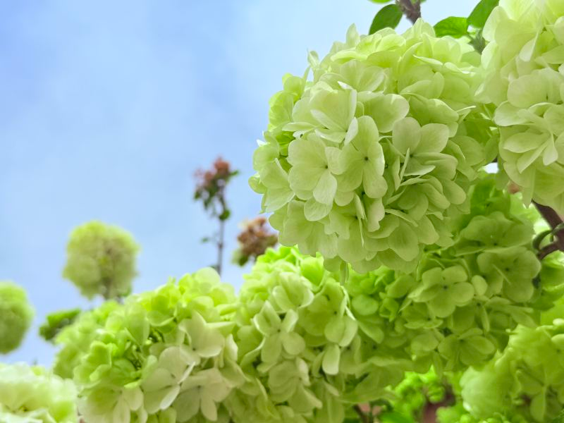 03a80363-6104-4a04-b995-a35e8adb3ab5.png